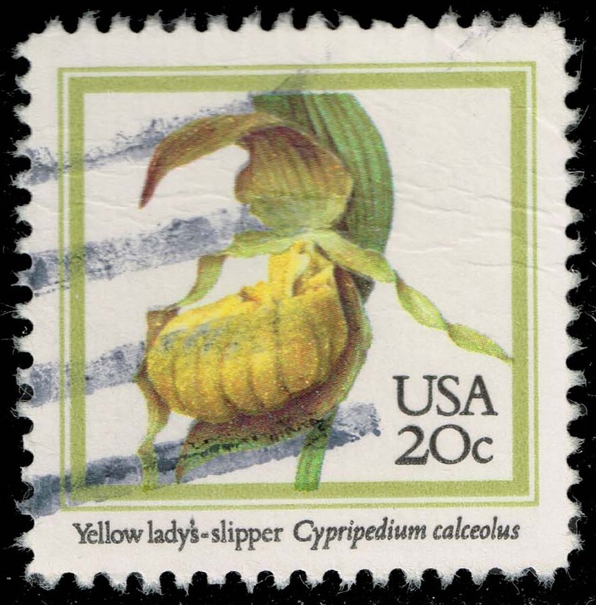 US #2077 Yellow Lady's Slipper; Used