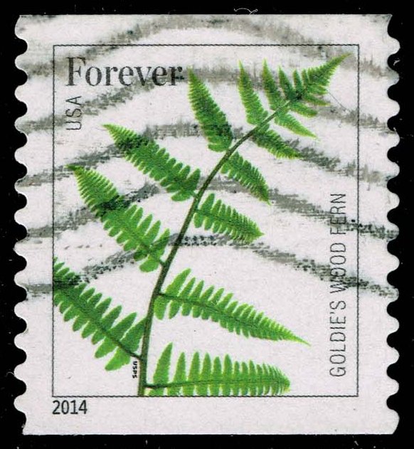 US #4877 Goldie's Wood Fern; Used
