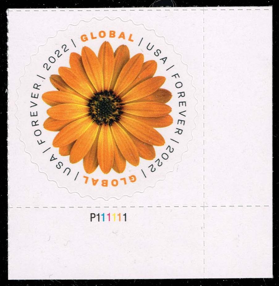 US #5680 African Daisy P# Single; MNH - Click Image to Close