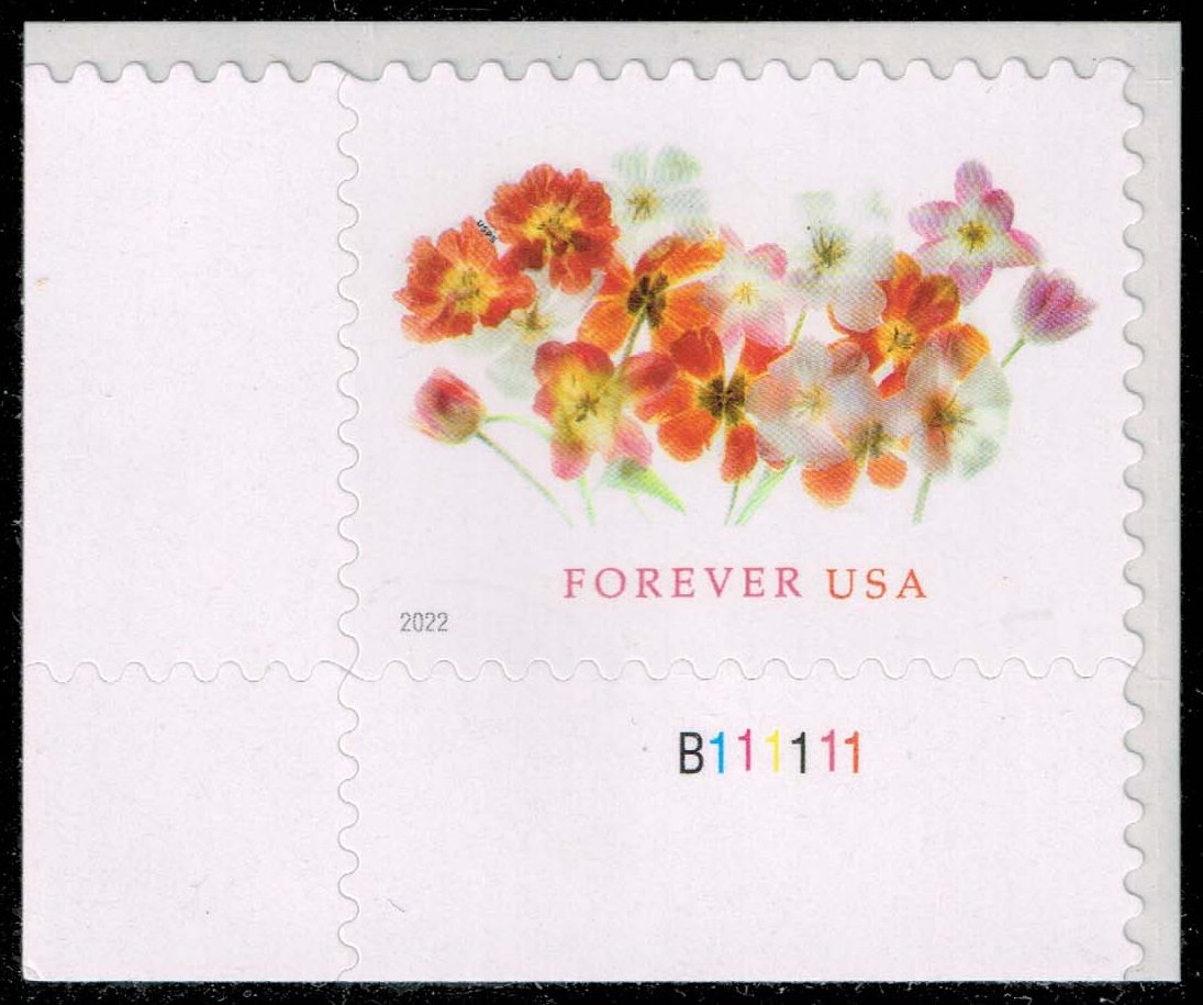 US #5681 Tulips P# Single; MNH - Click Image to Close