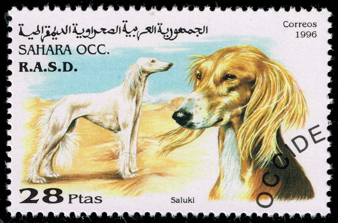 Sahara Occ **U-Pick** Stamp Stop Box #161 Item 14