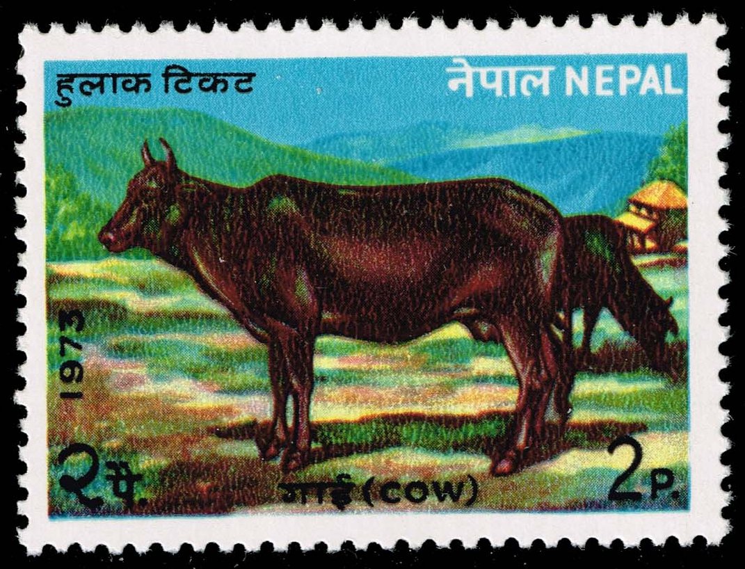 Nepal **U-Pick** Stamp Stop Box #161 Item 58