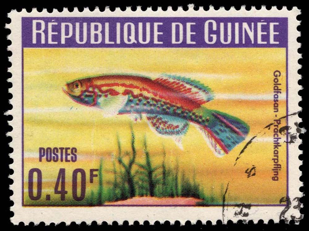 Guinea **U-Pick** Stamp Stop Box #164 Item 21