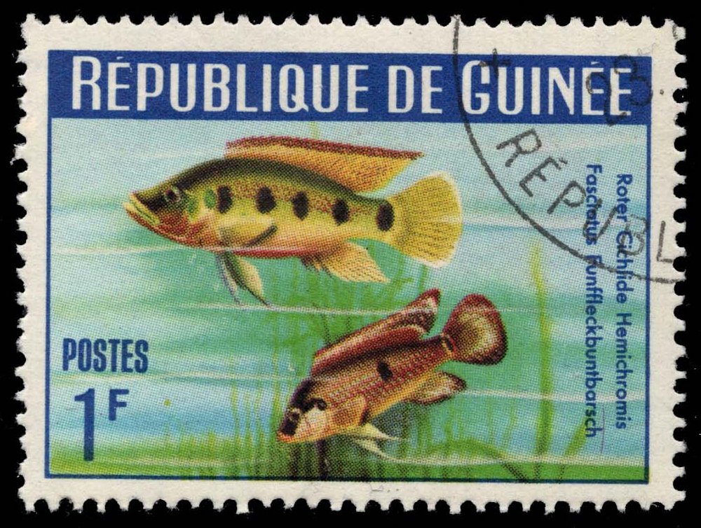 Guinea **U-Pick** Stamp Stop Box #164 Item 23