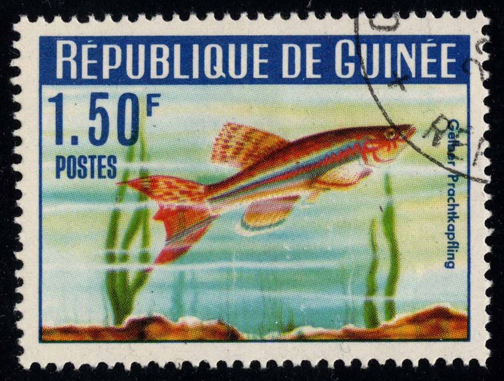 Guinea **U-Pick** Stamp Stop Box #164 Item 24