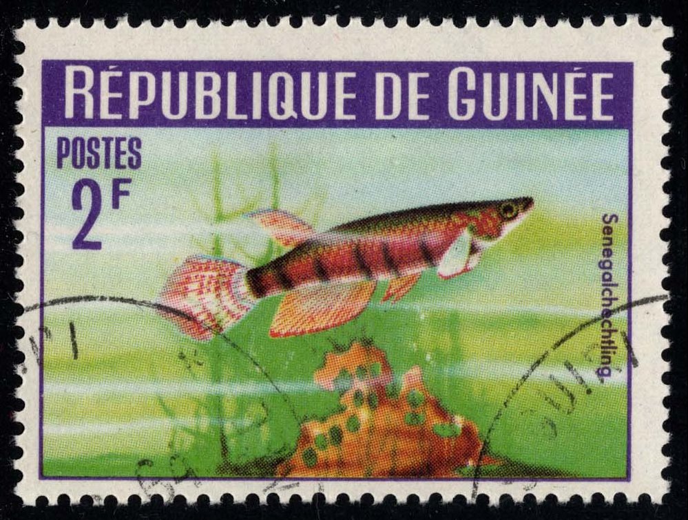 Guinea **U-Pick** Stamp Stop Box #164 Item 25