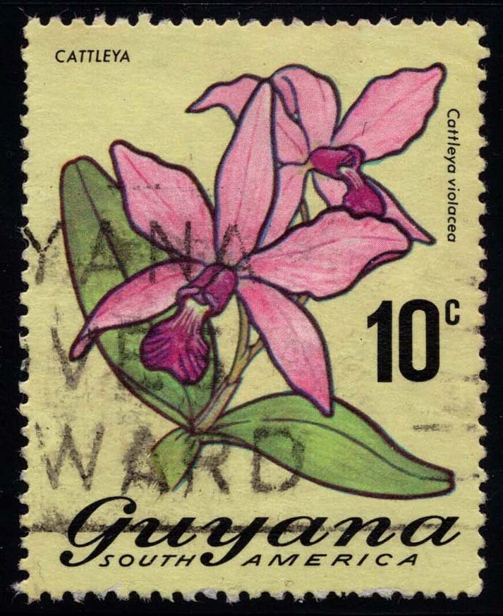 Guyana **U-Pick** Stamp Stop Box #164 Item 69