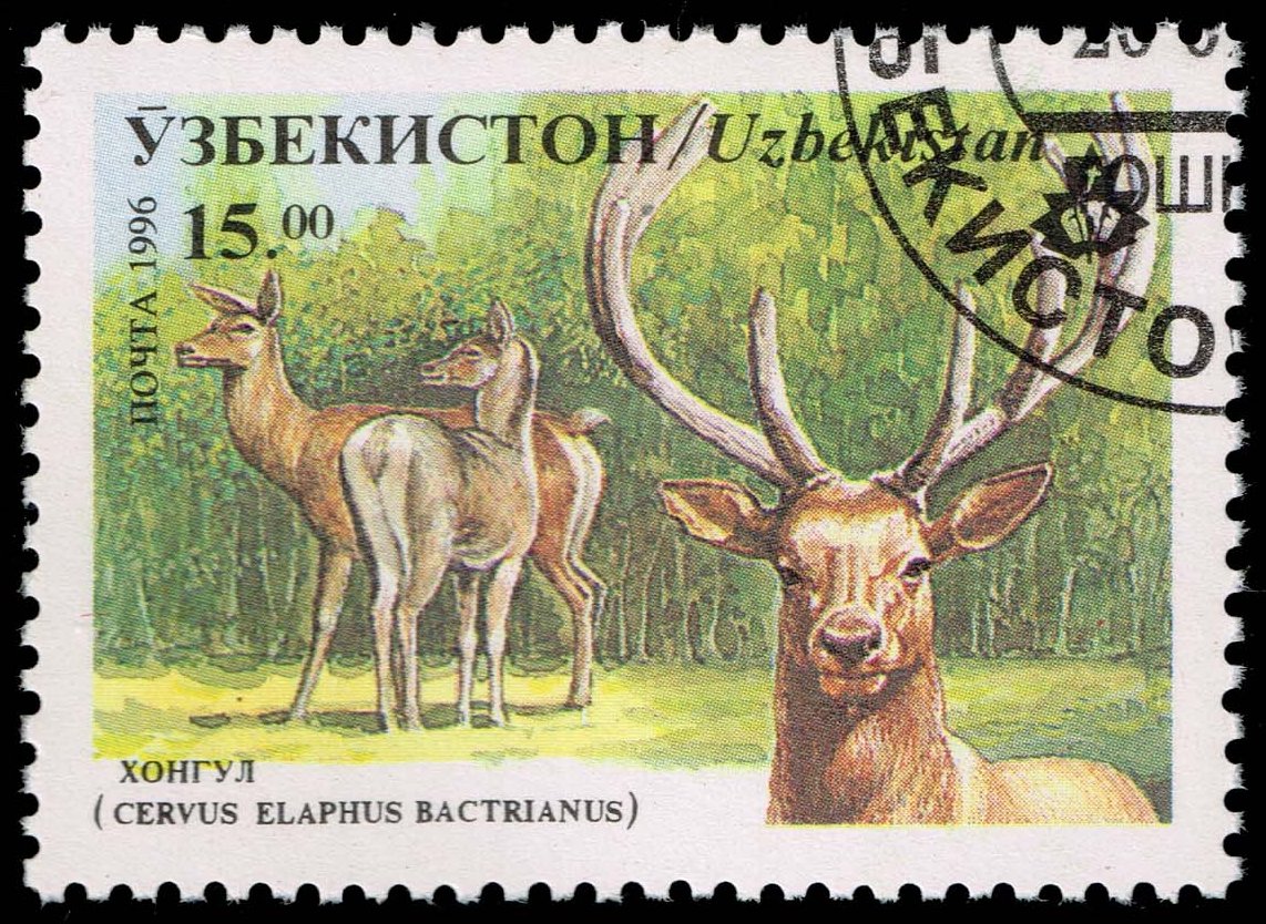 Uzbekistan #106 Red Deer; CTO