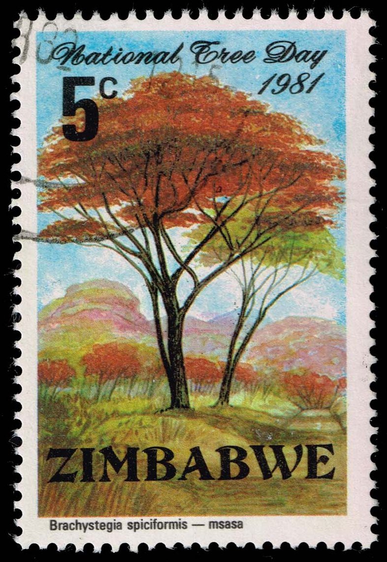 Zimbabwe #442 Msasa Tree; Used