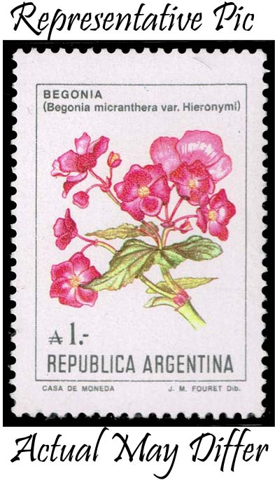 Argentina #1524 Begonia Flowers; MNH at Wholesale