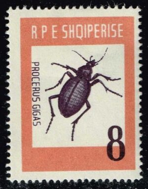 ALB0662 01