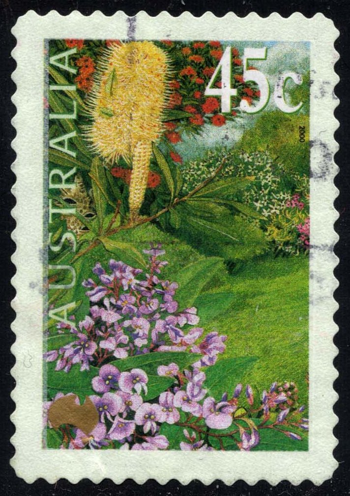AUS1818 02XCF