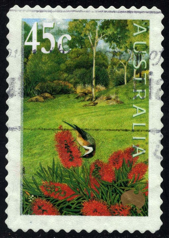 AUS1819 02XCF