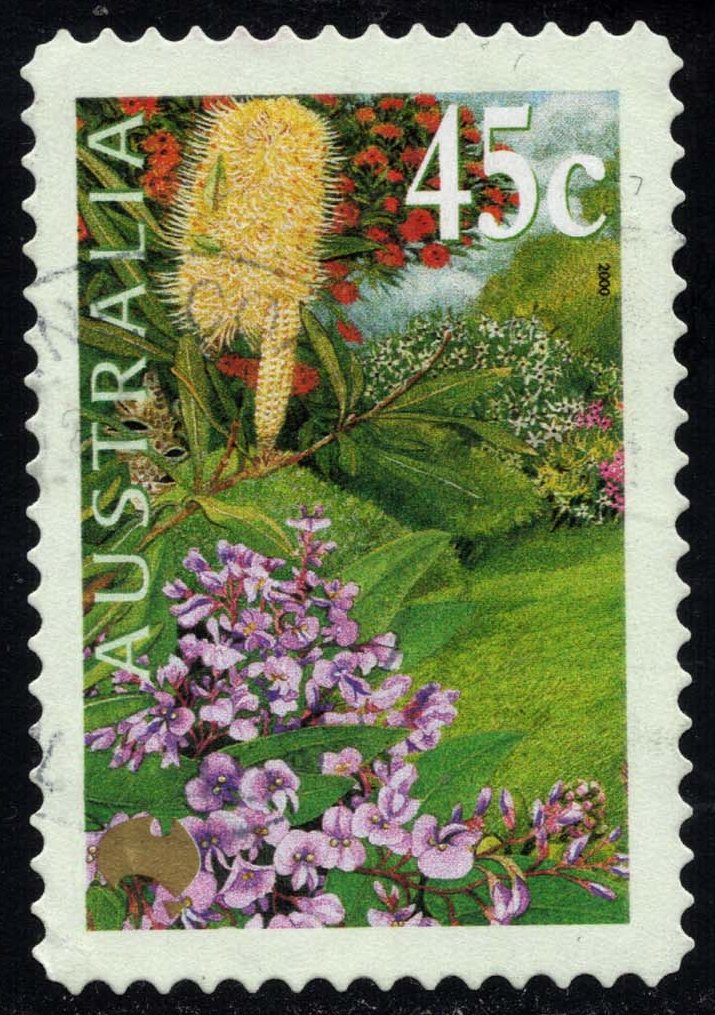 AUS1823 04XCF