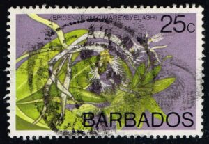 BAR0405 01