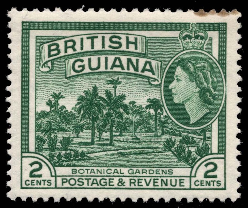 BGU254 01XML02