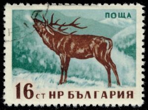 BUL1006 01XDC