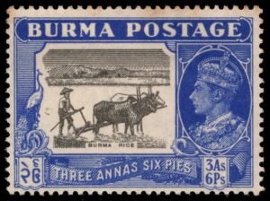 BUR0059 01XML02