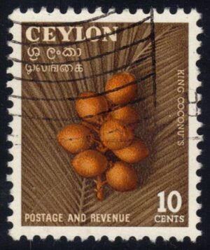 CEY329 04