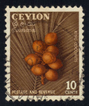 CEY329 05