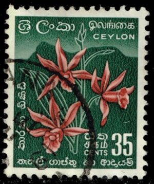 CEY351 04XDC