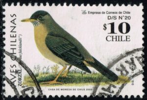 CHI1385 09
