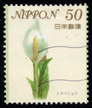 JPN3537 01XAS04