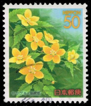JPNZ676 01XWM