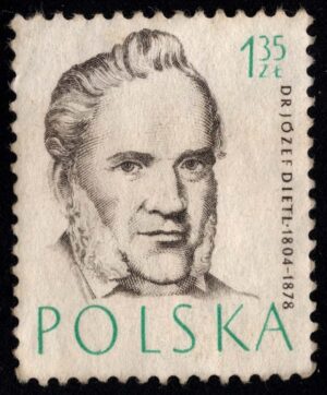POL0774 01XML02