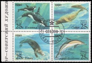 RUS5936a 01XAS12