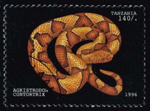 TAZ1472 01XASHB