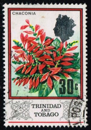 TRI0154 01