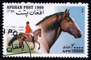 AFGMi1904 01XAS