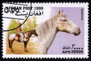 AFGMi1905 01XAS