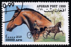AFGMi1906 01XAS