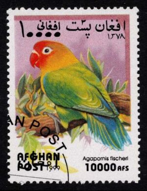 AFGMi1923 01XAS