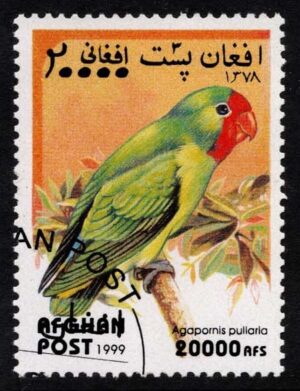 AFGMi1924 01XAS