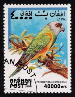 AFGMi1926 01XAS