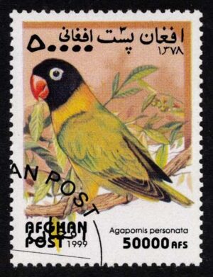 AFGMi1927 01XAS