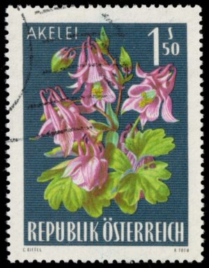 AUT0764 01XAS12
