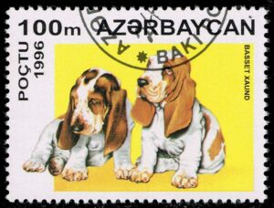 AZE0585 01XASHB