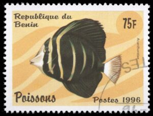 BEN0943 01XAS12