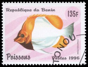 BEN0945 01XAS12