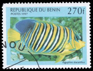 BEN1050 01XAS12