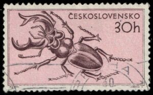 CZE0712 01XAS12