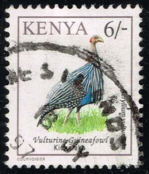 KEN0601A 15