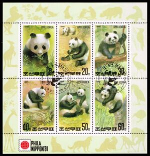 KON2967a 01XAS