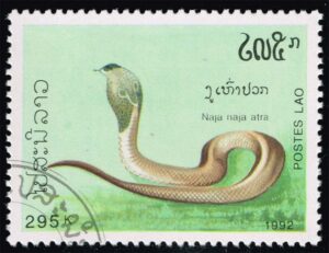 LAO1079 01XASHB