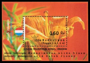 NED0856 01XAS12