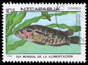 NIC1662 01XAS12